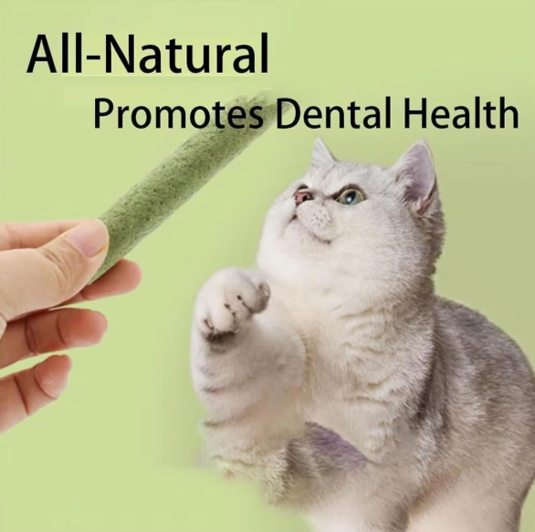 Cat Grass Stick