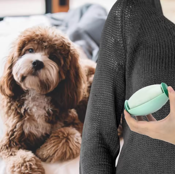 Portable Pet Hair Roller