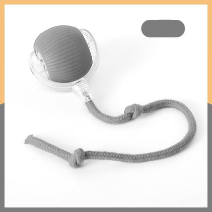 Cat Ball Toy with Rope