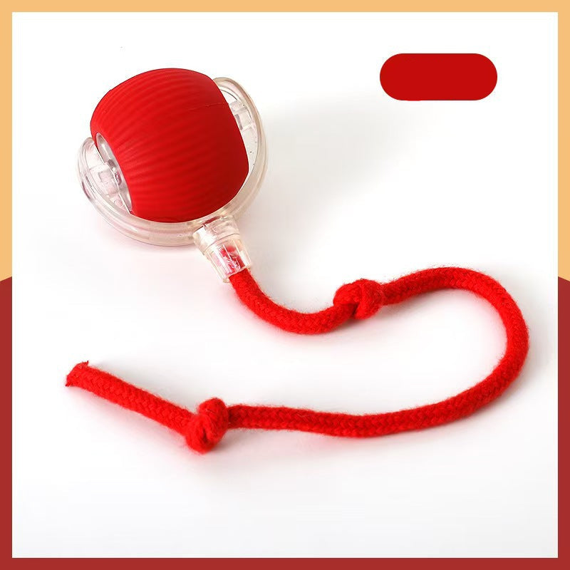Cat Ball Toy with Rope
