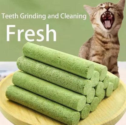 Cat Grass Stick