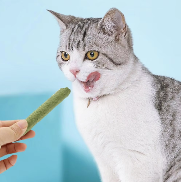 Cat Grass Stick