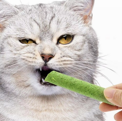 Cat Grass Stick