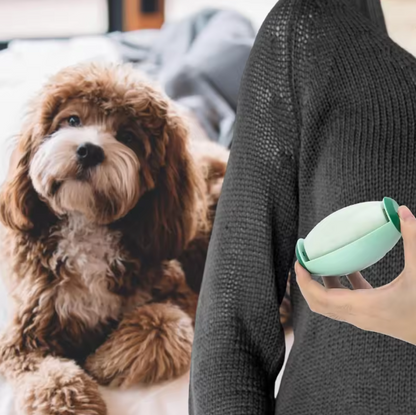 Portable Pet Hair Roller